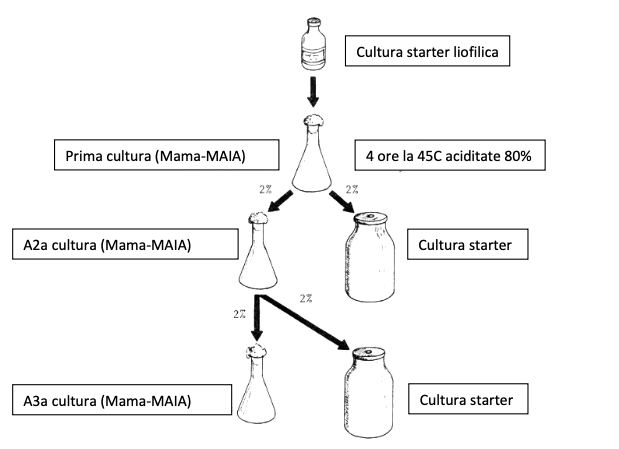 culturi pt iaurt