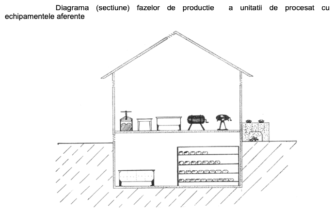 diagrama fazelor de productie