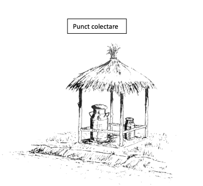 punct colectare
